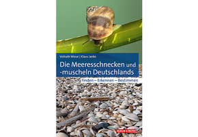 Die Meeresschnecken und -muscheln Deutschlands