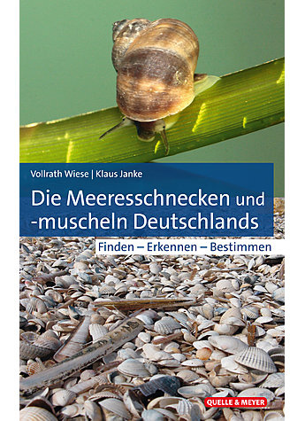 Die Meeresschnecken und -muscheln Deutschlands - Finden - Erkennen - Bestimmen