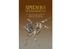 Spiders of Kazakhstan