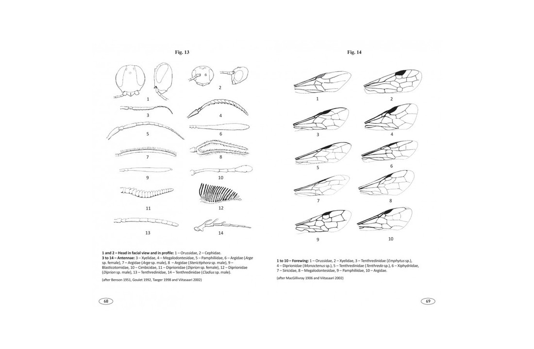 Sawflies of Europe - Hymenoptera of Europe, Volume 2