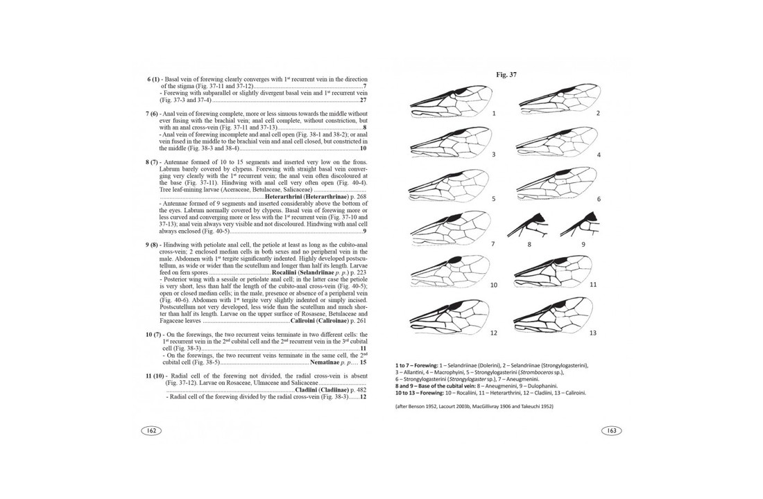 Sawflies of Europe - Hymenoptera of Europe, Volume 2