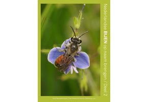 Nederlandse Bijen deel 2