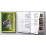 Nederlandse Bijen op Naam brengen/Deel2