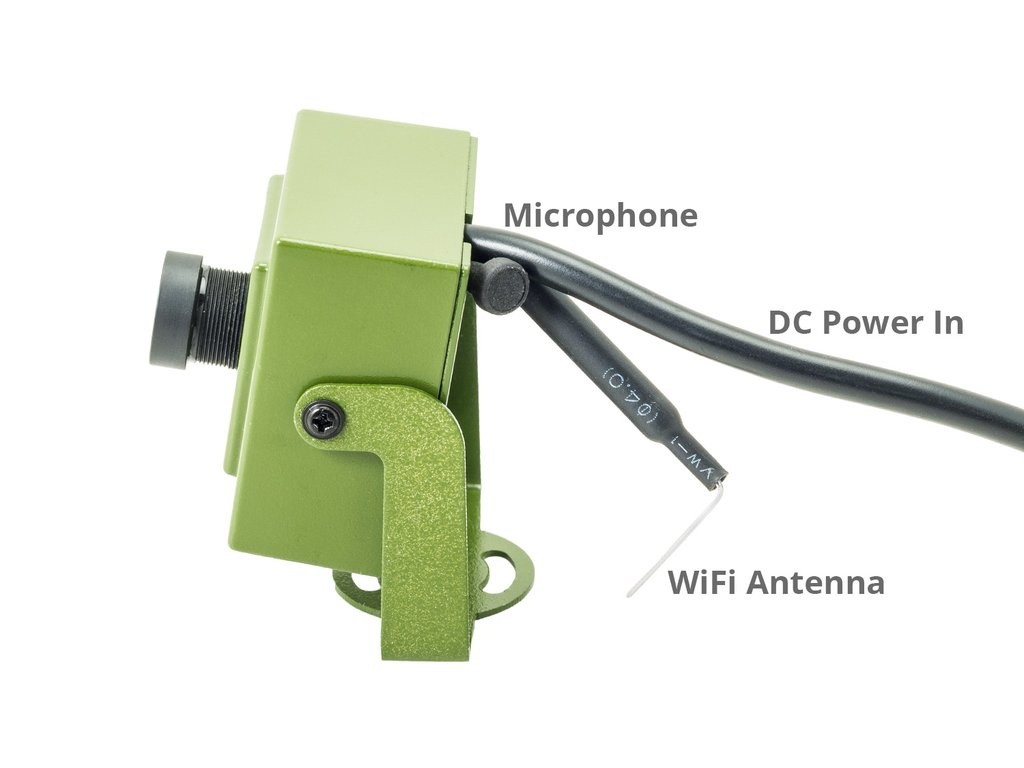 Green Feathers WiFi Vogelkastcamera