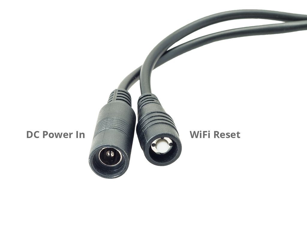 Green Feathers WiFi Vogelkastcamera