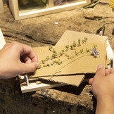 Flower and herb press