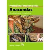 Professional Breeders Series Anacondas