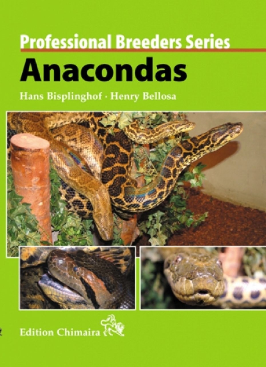Professional Breeders Series Anacondas