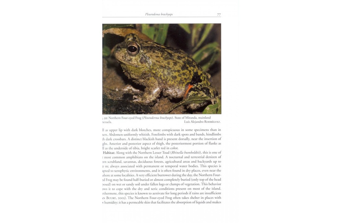 Amphibians and Reptiles of Margarita, Coche and Cubagua
