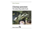 Lissemys Punctata - The Indian Flap-shelled Turtle