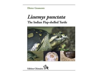Lissemys Punctata - The Indian Flap-shelled Turtle