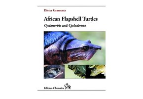 African Flapshell Turtles