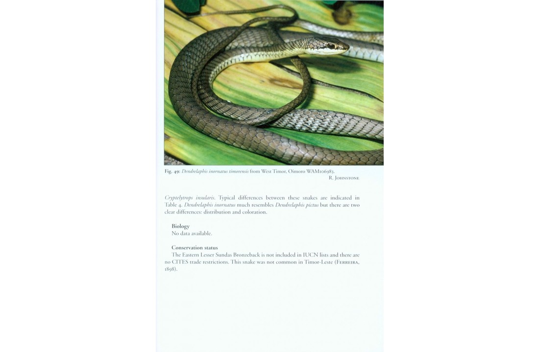 The Snakes of the Lesser Sunda Islands (Nusa Tenggara), Indonesia - A field guide to the terrestrial and semi-aquatic snakes with identification keys