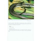 The Snakes of the Lesser Sunda Islands (Nusa Tenggara), Indonesia - A field guide to the terrestrial and semi-aquatic snakes with identification keys