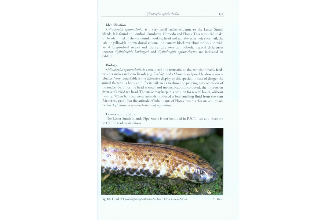 The Snakes of the Lesser Sunda Islands (Nusa Tenggara), Indonesia - A field guide to the terrestrial and semi-aquatic snakes with identification keys