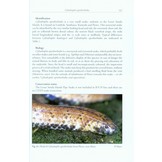 The Snakes of the Lesser Sunda Islands (Nusa Tenggara), Indonesia - A field guide to the terrestrial and semi-aquatic snakes with identification keys