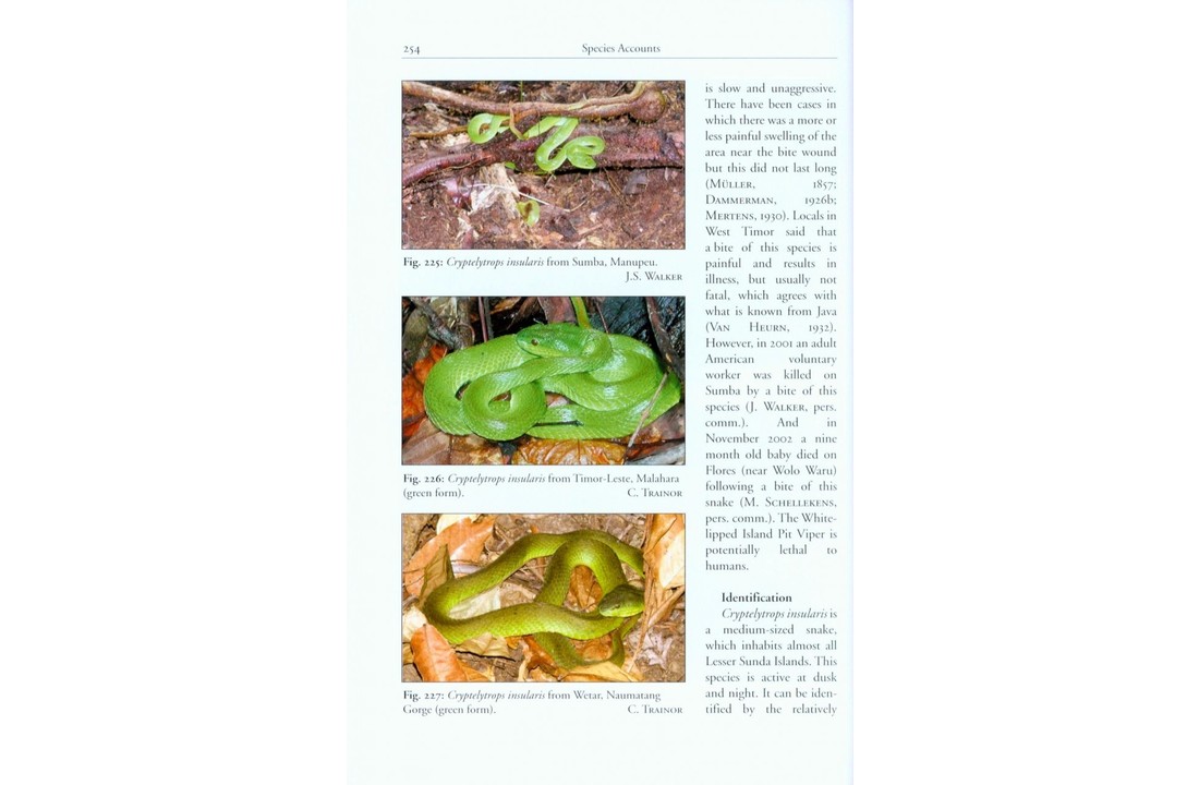 The Snakes of the Lesser Sunda Islands (Nusa Tenggara), Indonesia - A field guide to the terrestrial and semi-aquatic snakes with identification keys