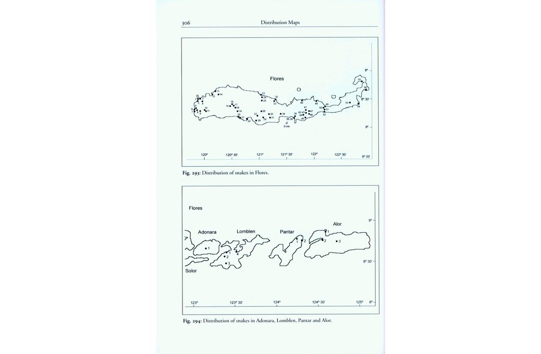 The Snakes of the Lesser Sunda Islands (Nusa Tenggara), Indonesia - A field guide to the terrestrial and semi-aquatic snakes with identification keys