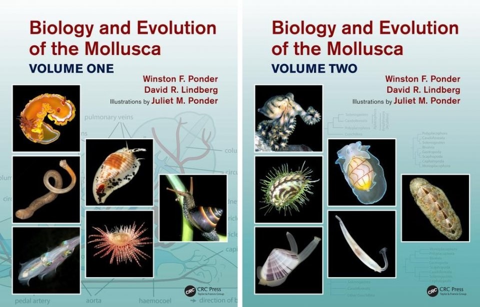 Biology and Evolution of the Mollusca (2-Volume Set) Biology and Evolution of the Mollusca (2-Volume Set)