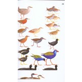 Birds of Eastern Africa