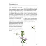 Cahier d'identification des Libellules de France, Belgique, Luxembourg & Suisse - 2. Auflage