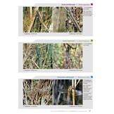 Cahier d'identification des Libellules de France, Belgique, Luxembourg & Suisse - 2. Auflage