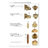 Cahier d'identification des Libellules de France, Belgique, Luxembourg & Suisse - 2. Auflage