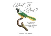 What Is a Bird?