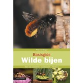 Basisgids Wilde Bijen