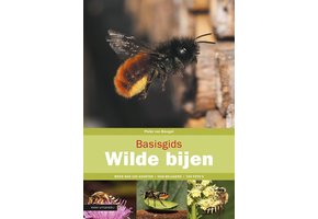 Basisgids Wilde Bijen