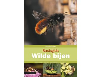 Basisgids Wilde Bijen