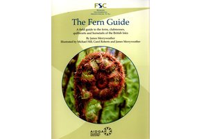 The Fern Guide