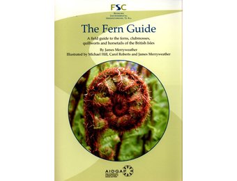 The Fern Guide