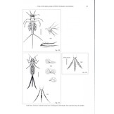 A Key to the Major Groups of British Freshwater Invertebrates