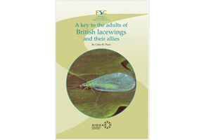 A Key to the Adults of British Lacewings and their Allies