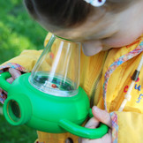 Insectenstudeerbox tweezijdig