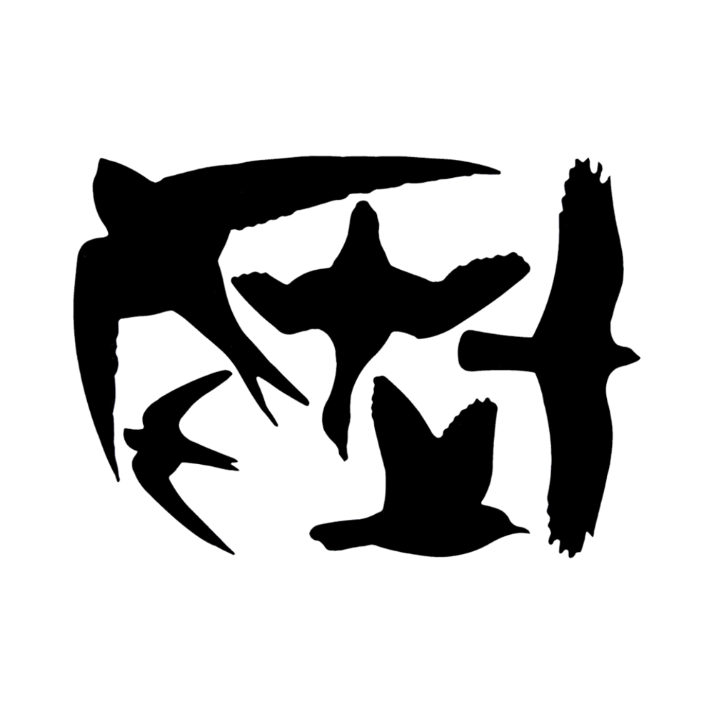 Window stickers birds