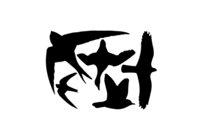 Window stickers birds