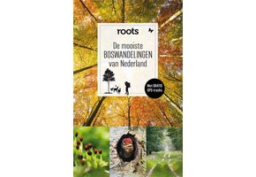 De mooiste boswandelingen van Nederland