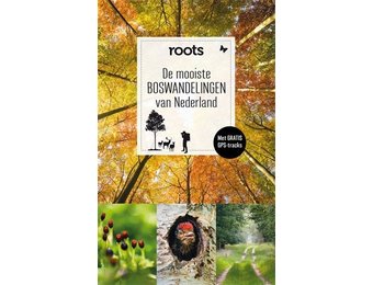 De mooiste boswandelingen van Nederland