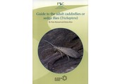Guide to the Adult Caddisflies or Sedge Flies (Trichoptera)