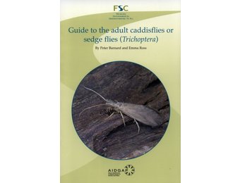 Guide to the Adult Caddisflies or Sedge Flies (Trichoptera)