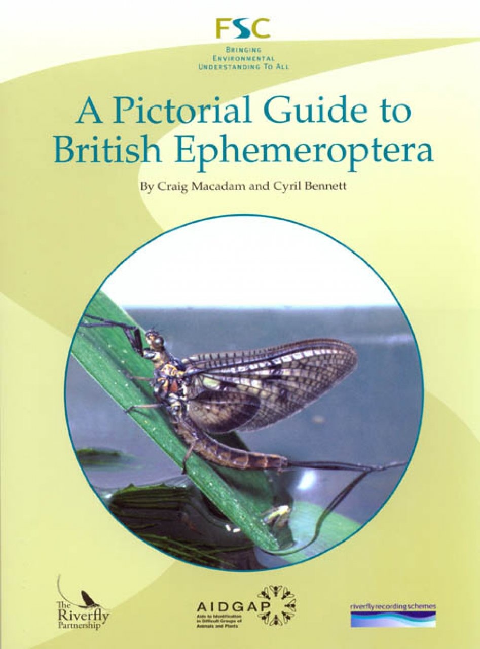 A Pictorial Guide to British Ephemeroptera