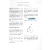 A Pictorial Guide to British Ephemeroptera