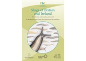 Slugs of Britain and Ireland
