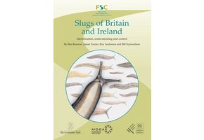 Slugs of Britain and Ireland