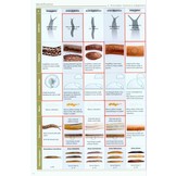 Slugs of Britain and Ireland - Identificaton, understanding and Control