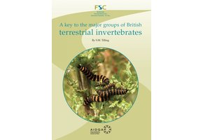 A Key to the Major Groups of British Terrestrial Invertebrates