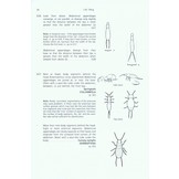 A Key to the Major Groups of British Terrestrial Invertebrates