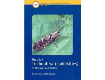 The Adult Trichoptera (Caddisflies) of Britain and Ireland